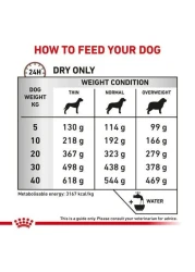 Royal Canin Gastro intestinal Canine For Dog (High Fibre) &ndash; Dry food for Gastro-intestinal disorders 2KG