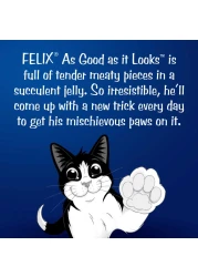 بيورينا فيليكس بجودة مظهرها مع التونة في طعام جيلي للقطط حزمة 85 غرام حزمة من 12