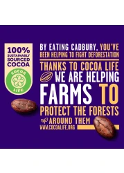 Cadbury Dairy Milk Assorted Minis Chocolate 38 Chocolates, 500g