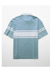 American Eagle AE Colorblock Polo Shirt