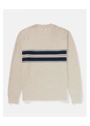 American Eagle تي شيرت حراري مخطط بأكمام طويلة من AE