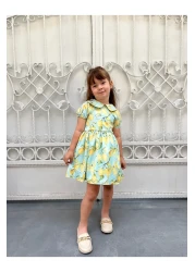 HC Kids Wear Girl's Baby Collar Lemon Print Dress