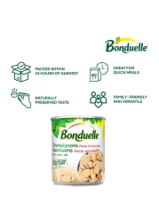 Bonduelle Champignons Mushroom Pieces and Stems, 350g
