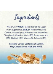 نستله فيتنس حبوب إفطار أصلية، 625 غرام