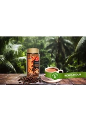 Carrefour Mexico Instant Coffee 100g