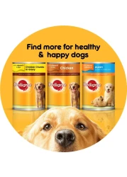 Pedigree Beef Chunks in Gravy Wet Food for Dog, 400g
