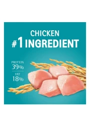 Purina One Visible Hairball Control with Chicken Cat Food, 1 Years and above, 1.2kg