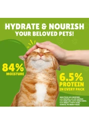 Purina Friskies Chicken Chunks in Gravy Wet Cat Food Pouch, 85g