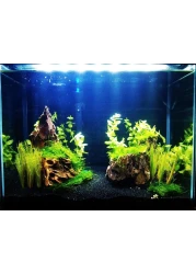 Vsell24 Super Naturals Black Sand Aquarium Substrate For Fish Tank Black Plant Soil For Pot Decorations 2-4mm 2Kg