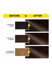 Garnier Olia Ammonia-Free Permanent Hair Colour 4.15 Iced Chocolate