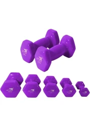 Sky Land Vinyl Dumbbell Classical Head 1 Kgx2 Purple