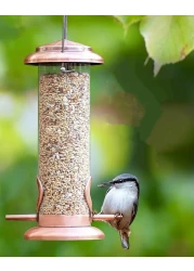 Egardenkart&reg; Daily Budget-Friendly Wild Bird Feed for All types of Wild Birds Small Birds Dove Pigeon Myna Lark Bulbul Sparrow Hoopoe Seed Mix (1)