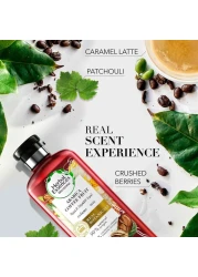 هربال إيسنسيز شامبو بيو رينيو لتكثيف الشعر بفاكهة البن العربي 400 ملل