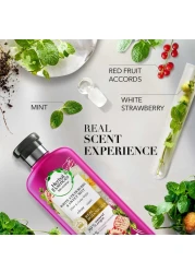 هيربل إسنسز بيو رينيو تنظيف بلسم شعر بالفراولة البيضاء والنعناع الحلو وردي 400 ملل