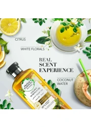 Herbal Essences Bio Renew Smooth Golden Moringa Oil Shampoo 400ml