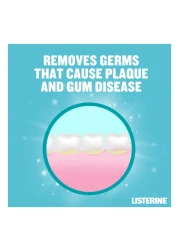 Listerine Mouthwash Cool Mint Milder Taste 500mlx3