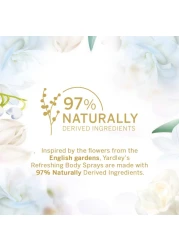 ياردلي لندن إنغليش دايزي بخاخ الجسم - ذهبي - 150 ملل