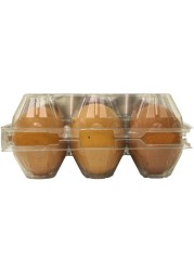 Al Jazira Golden Eggs Medium Either White or Brown 15 PCS