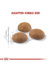 Royal Canin FHN Outdoor 2 kg Feline Breed Nutrition Cat Food
