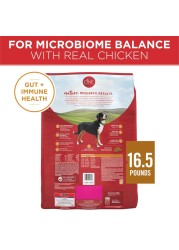 Purina ONE Chicken &amp; Rice Formula, Dog Food, 3.63kg