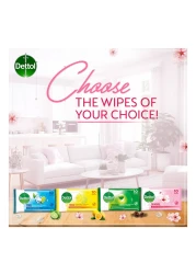 ديتول مناديل مبللة للعناية بالبشرة مضادة للبكتيريا 10 مناديل مبللة