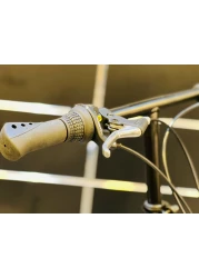 Raleigh 16 Inch Carbon Steel Foldable City Bike and Custom 7-Speed Foldable Bike(Silver)