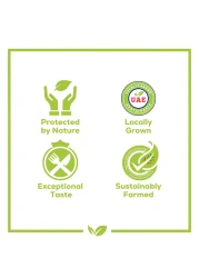 بيور هارفست طماطم كرزية حمراء 290 غرام