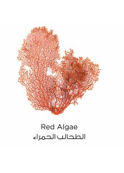لوريال باريس مطهر الوجه بالطين النقي 150 ملل أحمر