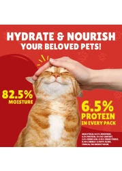 بورينا فريسكيز طعام قطط رطب لحم الضأن والديك الرومي والخضروات في مرق 400 غرام