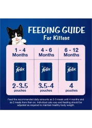 بيورينا فيليكس بجودة مظهرها مع التونة في طعام جيلي للقطط حزمة 85 غرام حزمة من 12