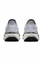 Nike Pegasus 41 Men's Walking and Running Shoes