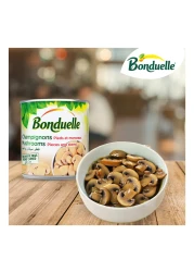 Bonduelle Champignons Mushroom Pieces and Stems, 200g