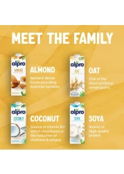 Alpro Oat Almond Drink, 100% Plant Based, Lactose &amp; Dairy Free 1L