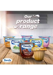 Danette Vanilla Dessert 90g Pack of 4