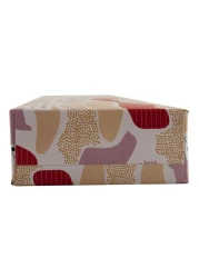 Carrefour Economic Soft Facial Tissues 100 Sheets