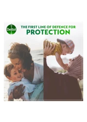 ديتول مطهر العناية الشخصية المضاد للبكتيريا 250 ملل