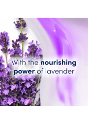 بلسم دوڤ لشعر يبدو أكثر كثافة كثافة اللافندر، بخلاصة زيت اللافندر، ٣٥٠ مل