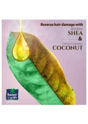 Parachute Advansed Shea Enriched Coconut Hair Oil Gold 300ml