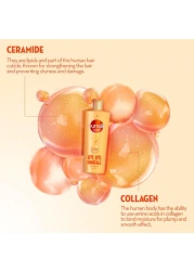 Sunsilk Collagen Blends Shampoo Bye Bye Hairfall 350ml + Conditioner 170ml