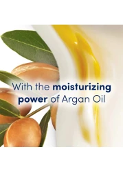 شامبو دوڤ يرطب الشعر الجاف، ترطيب زيت الأرغان، بدون سلفات، برابين أو صبغات، ٤٠٠مل