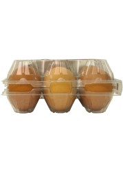 Al Jazira Golden Eggs Medium Either White or Brown 15 PCS