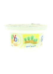 Al Rawabi Yo Full Fat Pineapple Stirred Yoghurt 130g