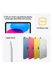 Apple iPad 10th Generation Tablet, 256GB, Pink, 10.9-Inch, 12 MP Camera, Multi‑Touch Window Display, Wi-Fi (UAE Version)