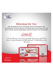 Cool &amp; Cool Wipe It Off Instant Stain Remover Wipes 12 Wipes