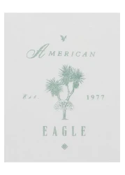 American Eagle تي شيرت بشعار Ae جرافيكي