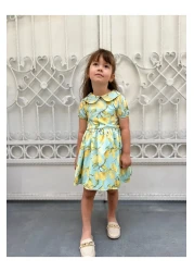 HC Kids Wear Girl's Baby Collar Lemon Print Dress