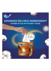 فاين التأمل مناديل وجه بطبقتين برائحة العود الملكي 100 منديل