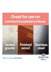 كلوركس سينتيفا مناديل مطهرة بالجريب فروت وزهر البرتقال، 75 منديلًا مبللاً