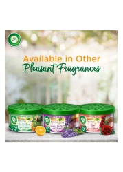 إيرويك جل برائحة زيت الليمون الأخضر العطري 70 غرام