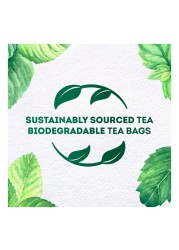 Lipton Herbal Infusion Mint 20 Tea Bags